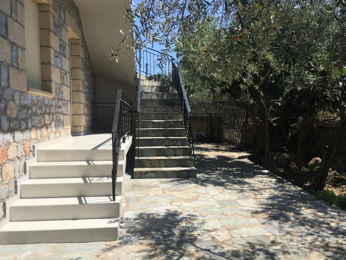 το πετρινο / The Petrino Apartment